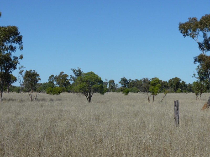 Bollon QLD 4488