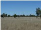 Bollon QLD 4488
