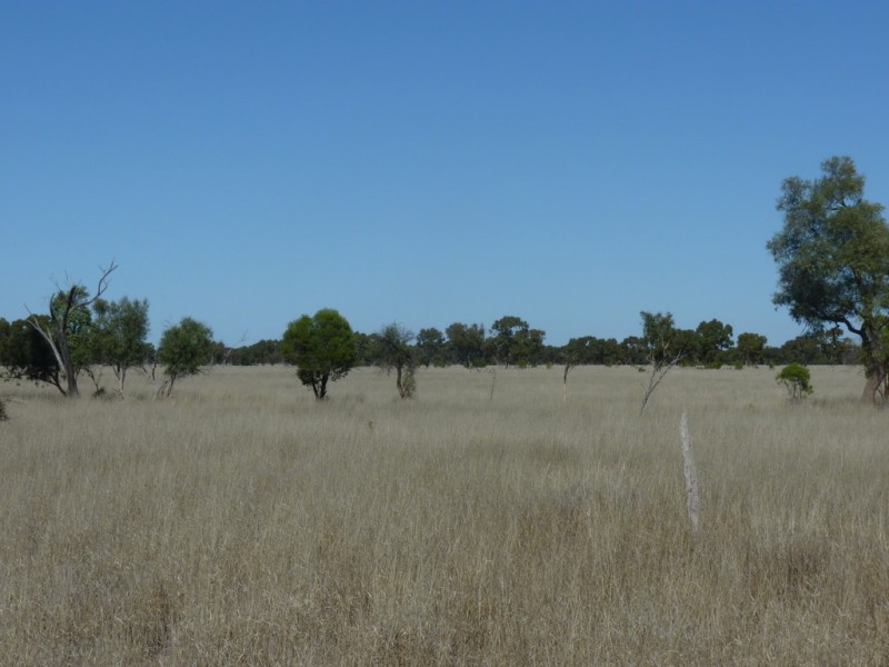 Bollon QLD 4488