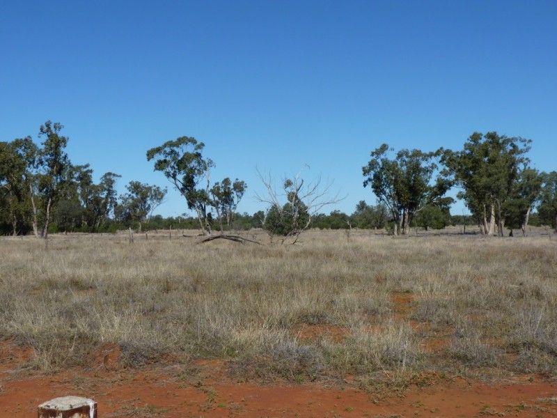 5828 WOOLERINA ROAD, Bollon QLD 4488