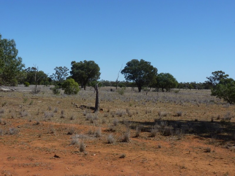 5828 WOOLERINA ROAD, Bollon QLD 4488