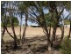 “Aqua Downs” Carnarvon Highway, St George QLD 4487