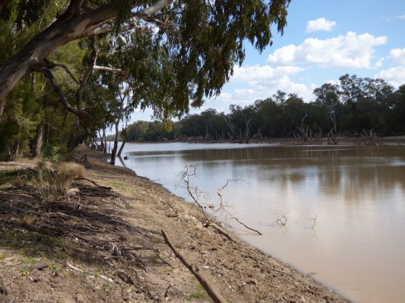 “Aqua Downs” Carnarvon Highway, St George QLD 4487