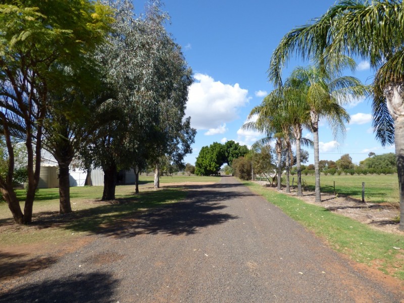 “Aqua Downs” Carnarvon Highway, St George QLD 4487