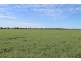 9698 ROMA – CONDAMINE RD, Condamine QLD 4416