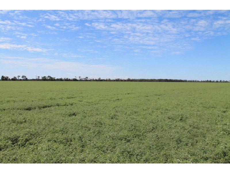 9698 ROMA – CONDAMINE RD, Condamine QLD 4416
