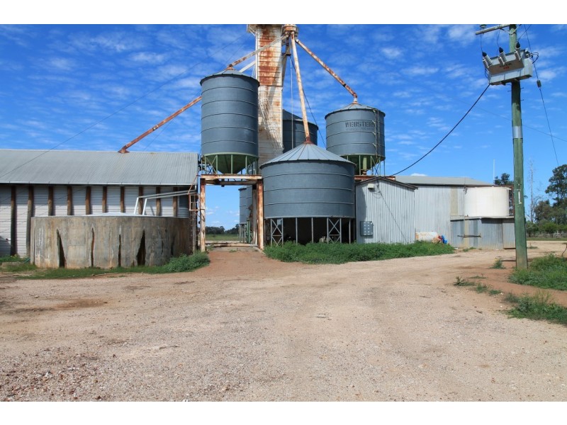 9698 ROMA – CONDAMINE RD, Condamine QLD 4416