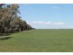 9698 ROMA – CONDAMINE RD, Condamine QLD 4416