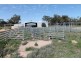 9698 ROMA – CONDAMINE RD, Condamine QLD 4416
