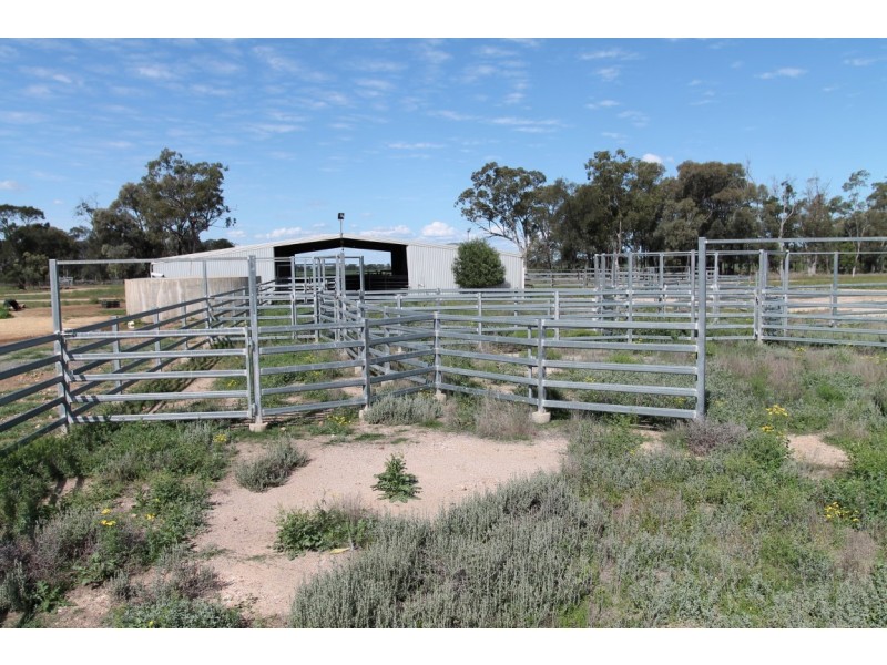 9698 ROMA – CONDAMINE RD, Condamine QLD 4416