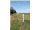 9698 ROMA – CONDAMINE RD, Condamine QLD 4416