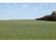 9698 ROMA – CONDAMINE RD, Condamine QLD 4416