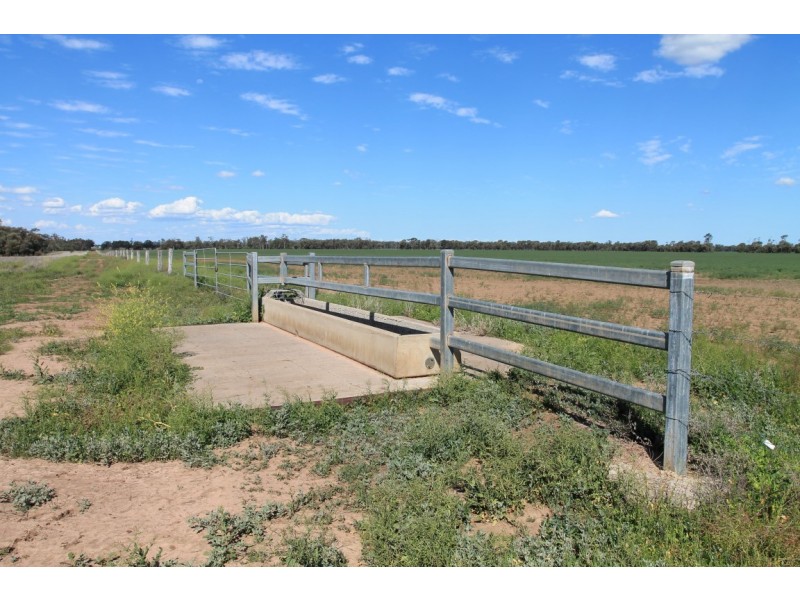 9698 ROMA – CONDAMINE RD, Condamine QLD 4416