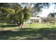 9698 ROMA – CONDAMINE RD, Condamine QLD 4416