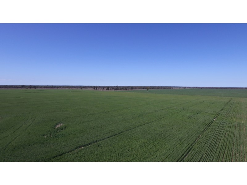 4089 ROMA – CONDAMINE RD, Condamine QLD 4416
