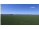 4089 ROMA – CONDAMINE RD, Condamine QLD 4416
