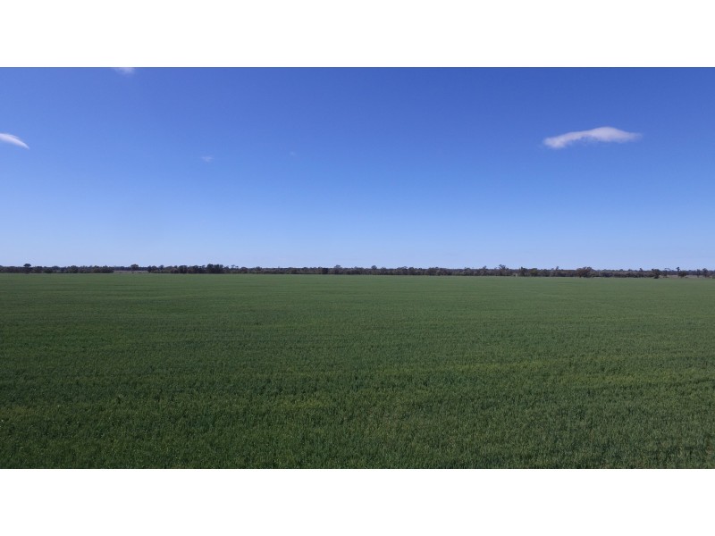 4089 ROMA – CONDAMINE RD, Condamine QLD 4416