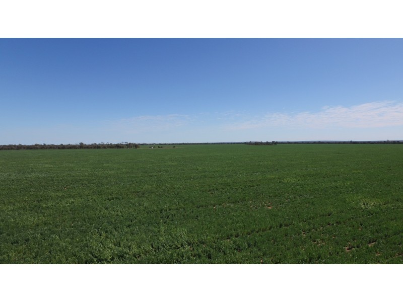 4089 ROMA – CONDAMINE RD, Condamine QLD 4416