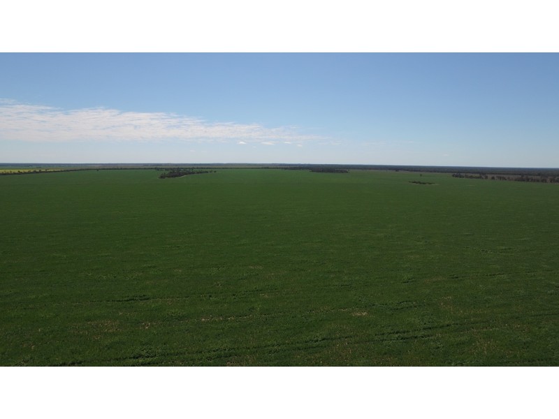 4089 ROMA – CONDAMINE RD, Condamine QLD 4416