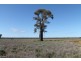 4089 ROMA – CONDAMINE RD, Condamine QLD 4416