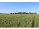 4089 ROMA – CONDAMINE RD, Condamine QLD 4416