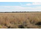 715 POWRUNNA ROAD, St George QLD 4487