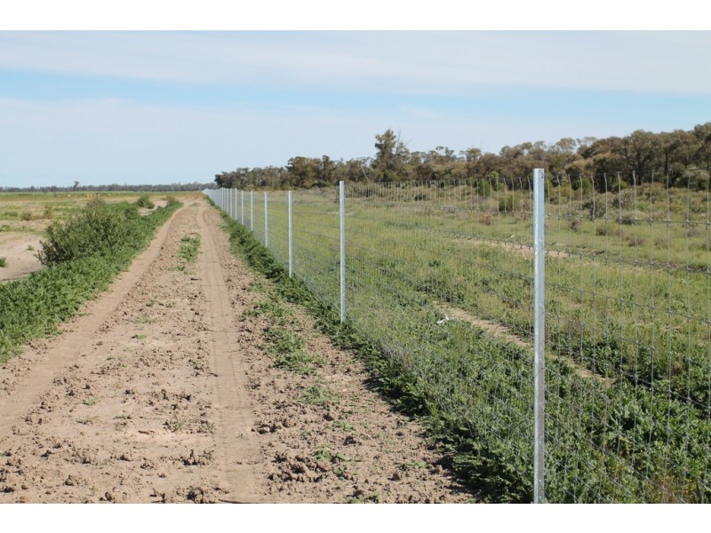 715 POWRUNNA ROAD, St George QLD 4487
