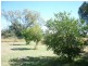 445 Wagoo Road, St George QLD 4487