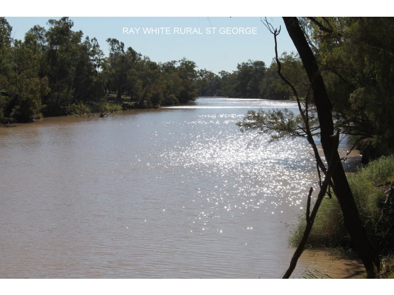 302 THUNGABY ROAD, St George QLD 4487