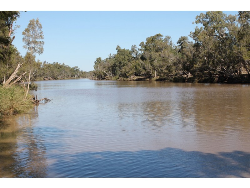 302 THUNGABY ROAD, St George QLD 4487