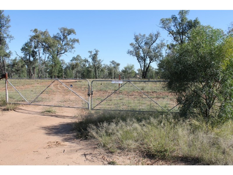 302 THUNGABY ROAD, St George QLD 4487