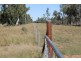 302 THUNGABY ROAD, St George QLD 4487
