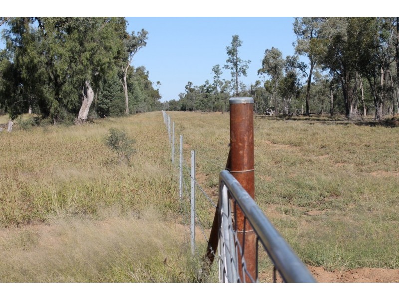 302 THUNGABY ROAD, St George QLD 4487
