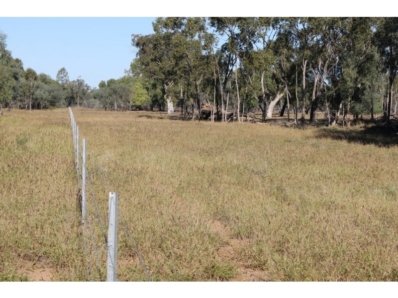 302 THUNGABY ROAD, St George QLD 4487