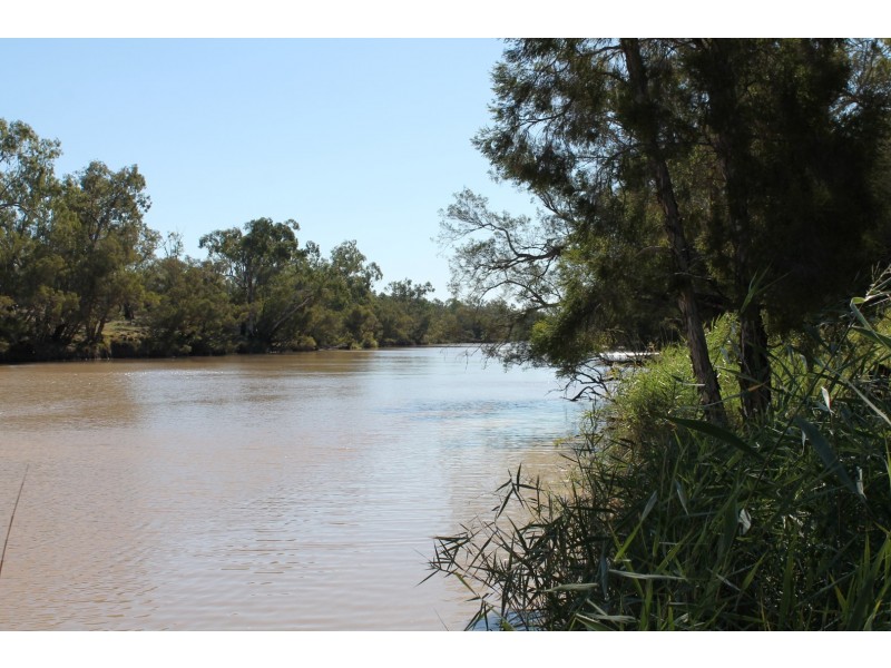 302 THUNGABY ROAD, St George QLD 4487