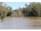 302 THUNGABY ROAD, St George QLD 4487