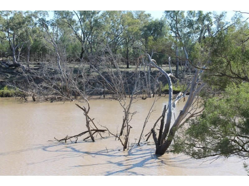 302 THUNGABY ROAD, St George QLD 4487