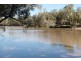 302 THUNGABY ROAD, St George QLD 4487
