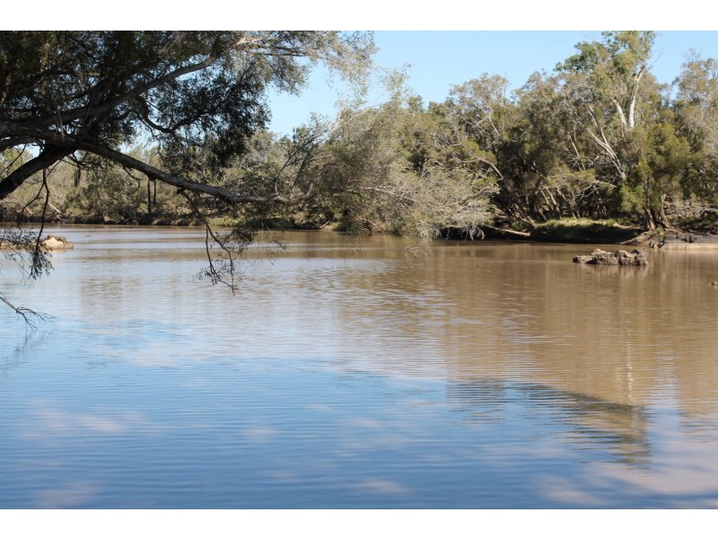 302 THUNGABY ROAD, St George QLD 4487