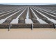 410 Booligar Road, Dirranbandi QLD 4486
