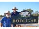 410 Booligar Road, Dirranbandi QLD 4486