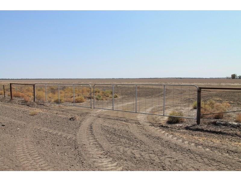 410 Booligar Road, Dirranbandi QLD 4486