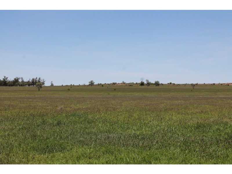 4895 TEELBA ROAD, Glenmorgan QLD 4423