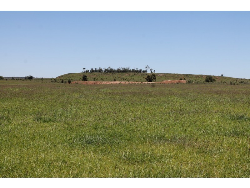 4895 TEELBA ROAD, Glenmorgan QLD 4423