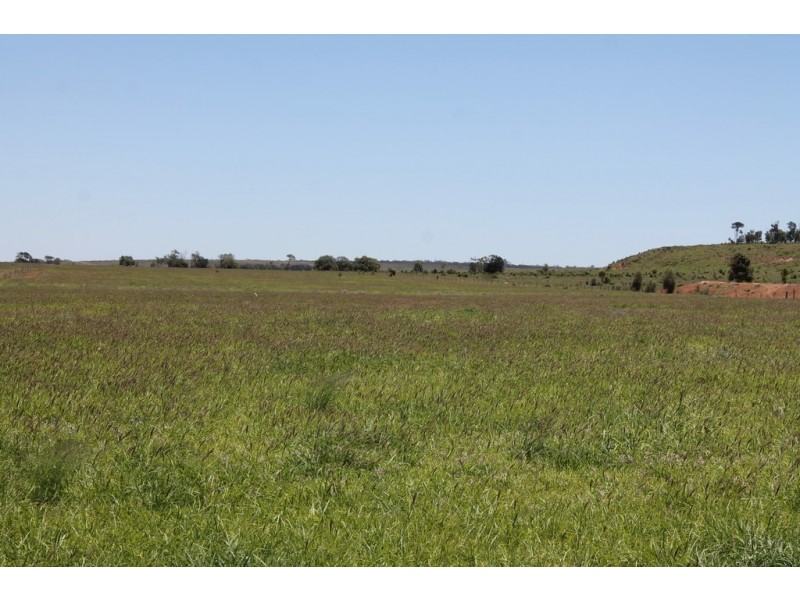 4895 TEELBA ROAD, Glenmorgan QLD 4423