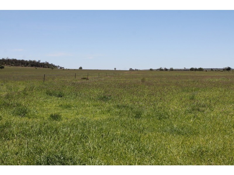 4895 TEELBA ROAD, Glenmorgan QLD 4423