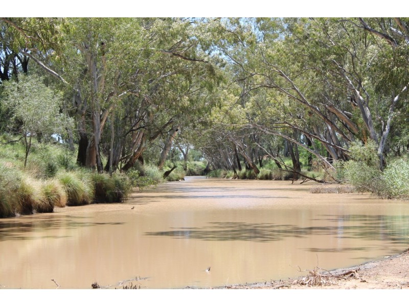 4895 TEELBA ROAD, Glenmorgan QLD 4423