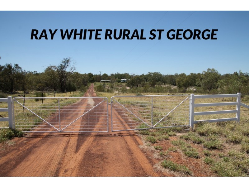 117 WHYENBAH ROAD, St George QLD 4487