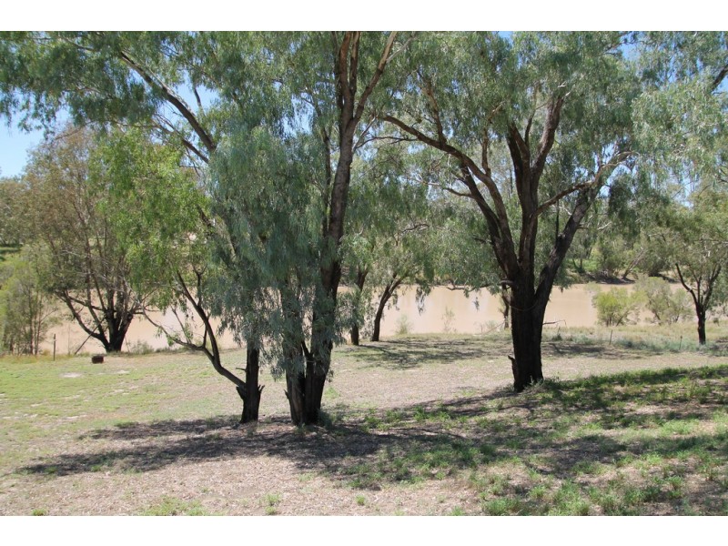 117 WHYENBAH ROAD, St George QLD 4487