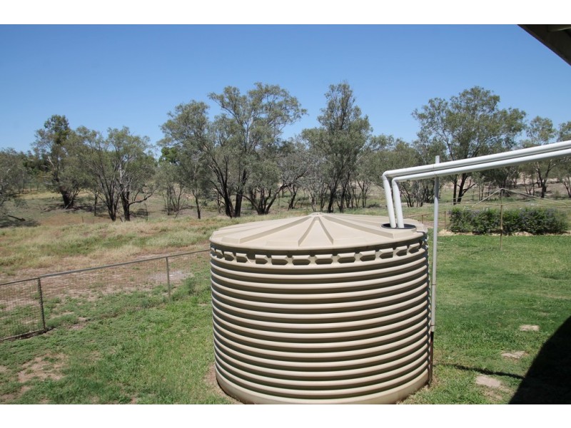 117 WHYENBAH ROAD, St George QLD 4487